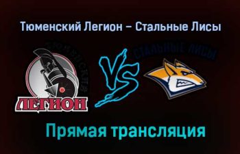 Тюменский Легион – Стальные Лисы прямая трансляция 24 января 2021 года