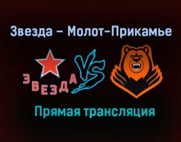 Звезда – Молот-Прикамье прямая трансляция 31 января 2021 года