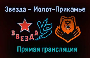Звезда – Молот-Прикамье прямая трансляция 31 января 2021 года