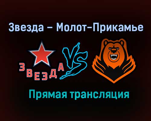Звезда – Молот-Прикамье прямая трансляция 31 января 2021 года Звезда – Молот-Прикамье прямая трансляция 31 января 2021 года