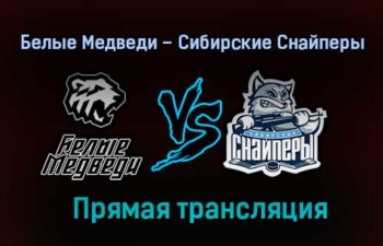 Белые Медведи – Сибирские Снайперы прямая трансляция 2 февраля 2021 года