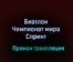 Биатлон Чемпионат мира Спринт прямая трансляция 12 февраля 2021 года