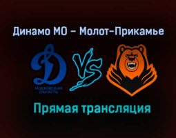 Динамо МО – Молот-Прикамье прямая трансляция 2 февраля 2021 года