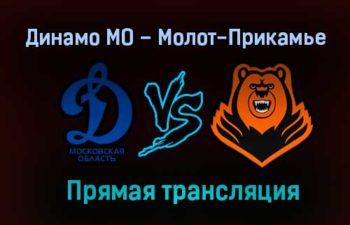 Динамо МО – Молот-Прикамье прямая трансляция 2 февраля 2021 года