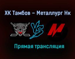 ХК Тамбов – Металлург Нк прямая трансляция 3 февраля 2021 года