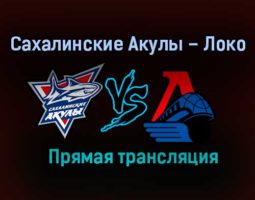 Сахалинские Акулы – Локо прямая трансляция 2 февраля 2021 года