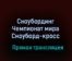 Сноубординг Чемпионат мира Сноуборд-кросс прямая трансляция 12 февраля 2021 года