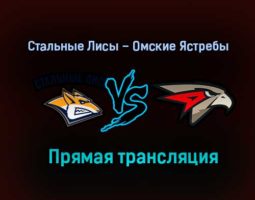 Стальные Лисы – Омские Ястребы прямая трансляция 2 февраля 2021 года