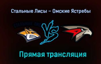 Стальные Лисы – Омские Ястребы прямая трансляция 2 февраля 2021 года