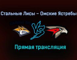 Стальные Лисы – Омские Ястребы прямая трансляция 3 февраля 2021 года