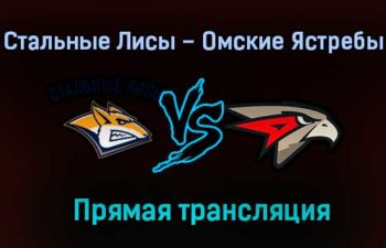Стальные Лисы – Омские Ястребы прямая трансляция 3 февраля 2021 года