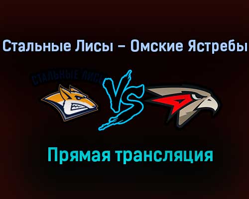 Стальные Лисы – Омские Ястребы прямая трансляция 3 февраля 2021 года Стальные Лисы – Омские Ястребы прямая трансляция 3 февраля 2021 года