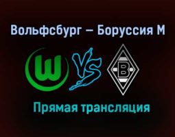 Вольфсбург — Боруссия М прямая трансляция 14 февраля 2021 года