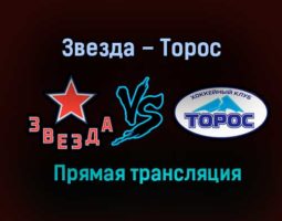 Звезда – Торос прямая трансляция 2 февраля 2021 года