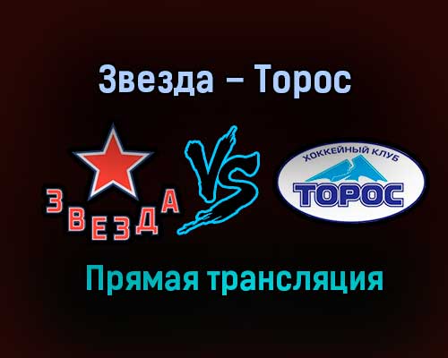 Звезда – Торос прямая трансляция 2 февраля 2021 года Звезда – Торос прямая трансляция 2 февраля 2021 года