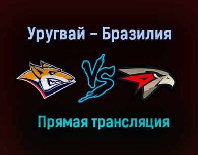 Металлург — Авангард прямая трансляция 24 марта 2021 года