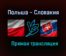Польша — Словакия прямая трансляция 14 июня 2021 года