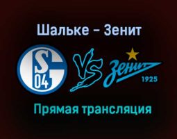 Шальке — Зенит прямая трансляция 3 июля 2021 года