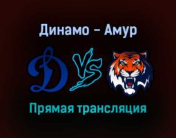 Динамо — Амур прямая трансляция 27 августа 2021 года