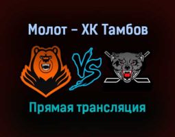 Молот — ХК Тамбов прямая трансляция 10 сентября 2021 года