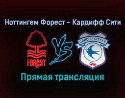 Ноттингем Форест — Кардифф Сити прямая трансляция 12 сентября 2021 года