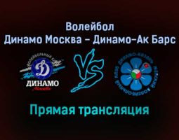Волейбол Динамо Москва — Динамо-Ак Барс прямая трансляция 28 октября 2021 года