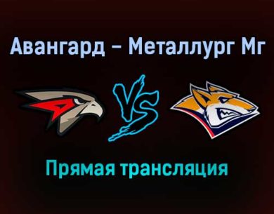 Авангард — Металлург Мг прямая трансляция 19 ноября 2021 года