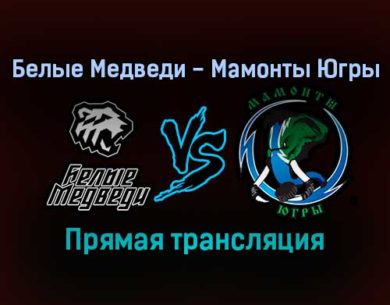 Белые Медведи — Мамонты Югры прямая трансляция 10 ноября 2021 года