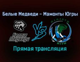 Белые Медведи — Мамонты Югры прямая трансляция 9 ноября 2021 года