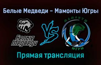Белые Медведи — Мамонты Югры прямая трансляция 9 ноября 2021 года