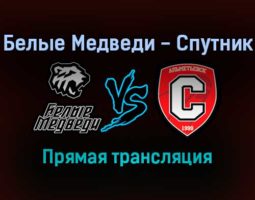 Белые Медведи — Спутник прямая трансляция 30 ноября 2021 года