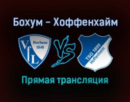 Бохум — Хоффенхайм прямая трансляция 6 ноября 2021 года