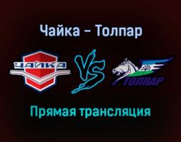 Чайка — Толпар прямая трансляция 9 ноября 2021 года