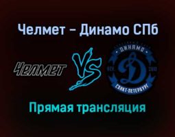 Челмет — Динамо СПб прямая трансляция 15 ноября 2021 года