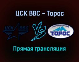 ЦСК ВВС — Торос прямая трансляция 20 ноября 2021 года