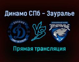 Динамо СПб — Зауралье прямая трансляция 30 ноября 2021 года