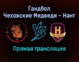 Гандбол Чеховские Медведи — Нант прямая трансляция 23 ноября 2021 года