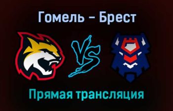 Гомель — Брест прямая трансляция 23 ноября 2021 года