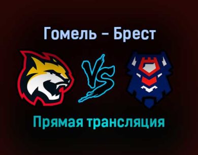 Гомель — Брест прямая трансляция 23 ноября 2021 года