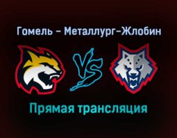 Гомель — Металлург-Жлобин прямая трансляция 15 ноября 2021 года
