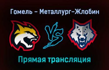 Гомель — Металлург-Жлобин прямая трансляция 15 ноября 2021 года