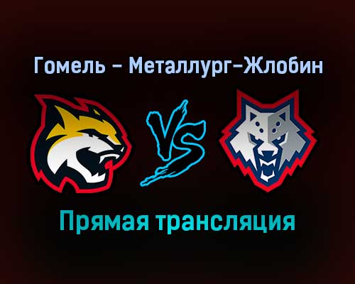 Гомель — Металлург-Жлобин прямая трансляция 15 ноября 2021 года Гомель — Металлург-Жлобин прямая трансляция 15 ноября 2021 года