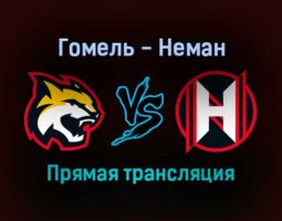 Гомель — Неман прямая трансляция 25 ноября 2021 года