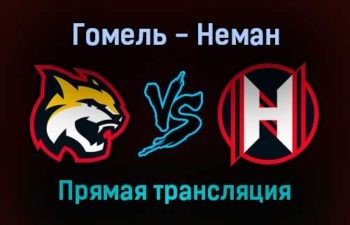 Гомель — Неман прямая трансляция 25 ноября 2021 года