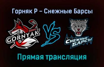 Горняк Р — Снежные Барсы прямая трансляция 23 ноября 2021 год