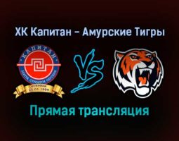 ХК Капитан — Амурские Тигры прямая трансляция 24 ноября 2021 года