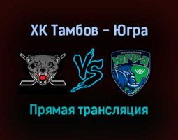 ХК Тамбов — Югра прямая трансляция 23 ноября 2021 года