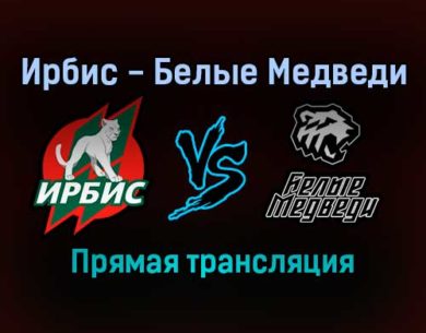 Ирбис — Белые Медведи прямая трансляция 24 ноября 2021 года