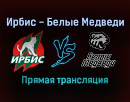 Ирбис — Белые Медведи прямая трансляция 25 ноября 2021 года