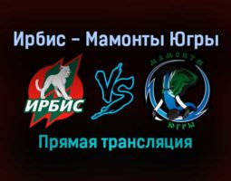 Ирбис — Мамонты Югры прямая трансляция 29 ноября 2021 года